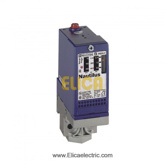 سنسور الکترومکانيکال کنترل فشار 300 بار اشنایدر الکتریک